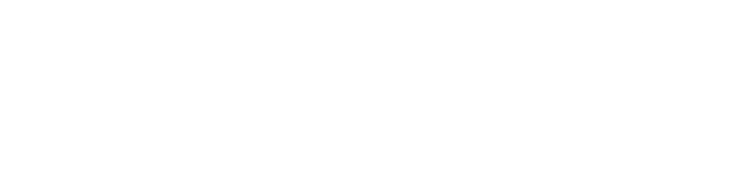 logo-white